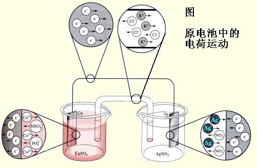 電化學茄子视频破解版