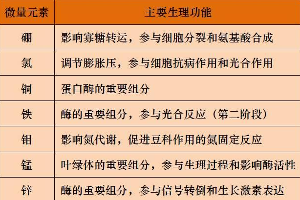 山東聊城全自動血鉛檢測儀一體機：微量元素的主要作用8.20